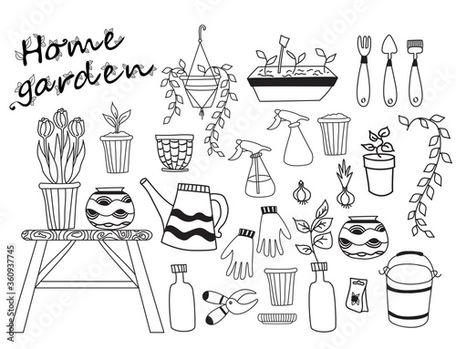 House garden. Set of indoor plants, flowerpots tools. Human Hobby at home at home and in self-isolation. Botanical set - bulbs, pruner, bucket, furniture. Vector line drawings. Hobby at home