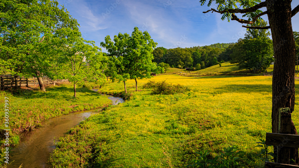 Naklejka premium Gentle babbling brook wanders through fields of buttercups