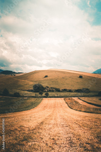 Tur  ianska kotlina  slovakia. Tur  ianske jaseno