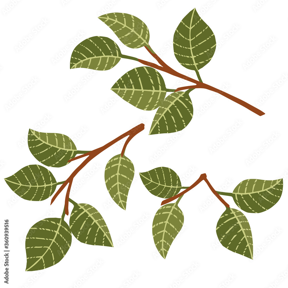 Set of green leaves on tree branches flat vector illustration isolated on white background Set of green leaves on tree branches flat vector illustration isolated on white background