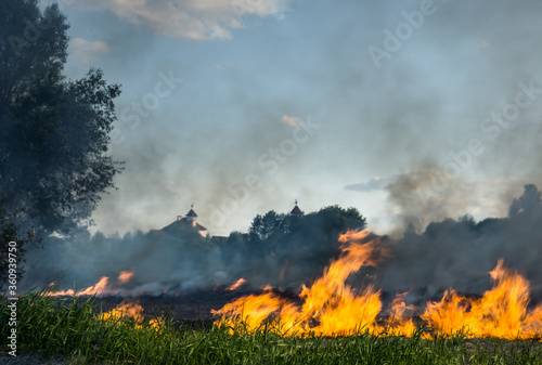 The grass burns in a meadow. Ecological catastrophy. Fire and smoke destroy all life. © baxys