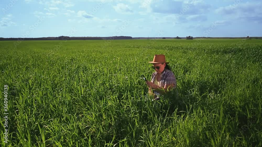 Agronomists a woman in a field controls the quality of crops and records observations Agronomists a woman in a field controls the quality of crops and records observations