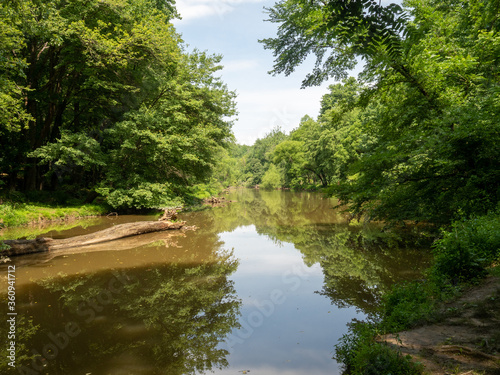 Fototapeta Naklejka Na Ścianę i Meble -  Quarantine Hike Through Maryland Park along Northwest Branch Anacostia River