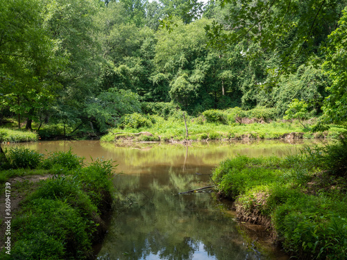 Quarantine Hike Through Maryland Park along Northwest Branch Anacostia River