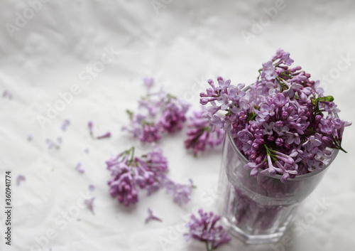 lavender flowers in a glass jar