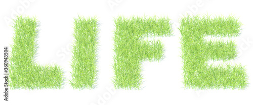 LIFE text made with green grass on white background, 3D rendering photo