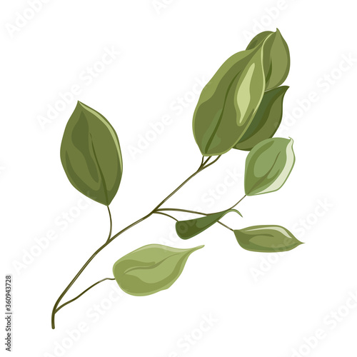 Art watercolor natural branches leaves elements. Vector illustration