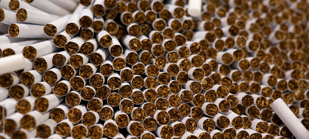 Ends of cigarettes showing tobacco inside Ends of cigarettes showing tobacco inside