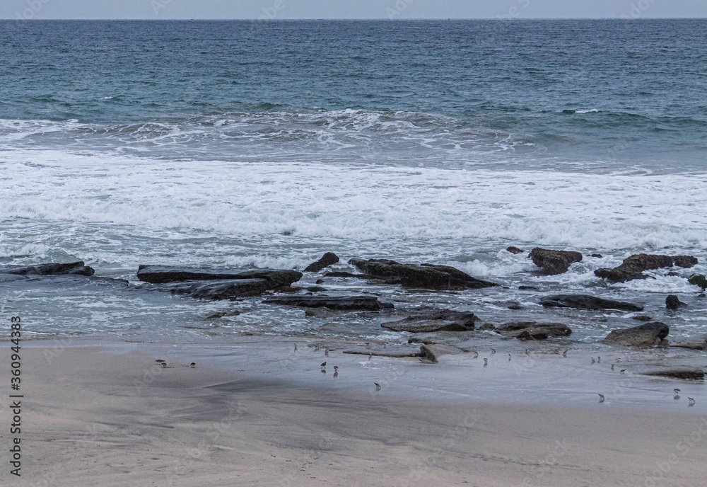 Fototapeta premium waves on the beach