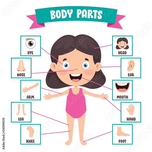 Funny Child Showing Human Body Parts