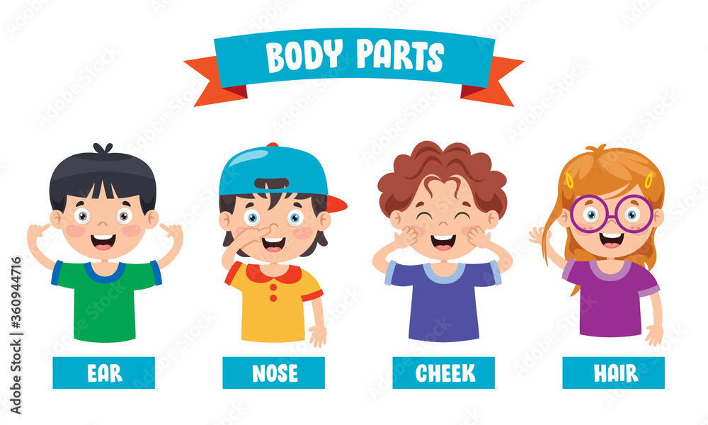 Funny Child Showing Human Body Parts Funny Child Showing Human Body Parts