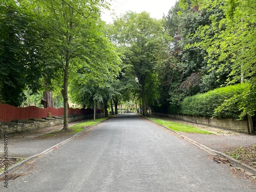 Ashburnham Grove, a Victorian road with old trees and fencing in, Manningham, Bradford, Yorkshsire, UK