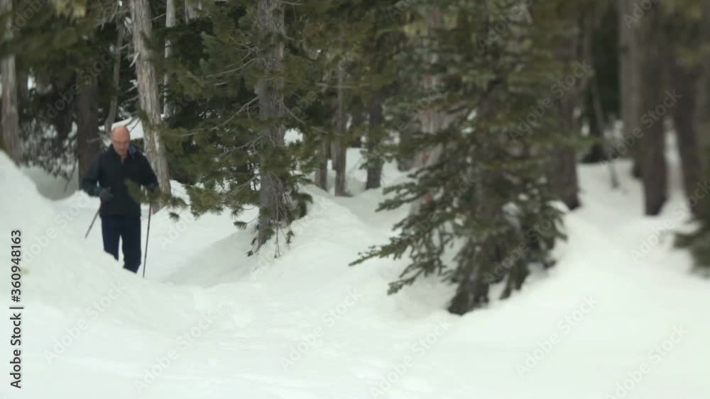 Mt. Washington B.C. Canada. Man snow shoeing. Mt. Washington B.C. Canada. Man snow shoeing.