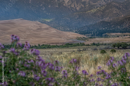 Sand Dunes National Park in spring