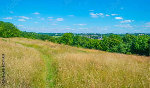 Grassy fields and trees with lush green foliage in green rolling hills below a blue sky in sunlight in summer
