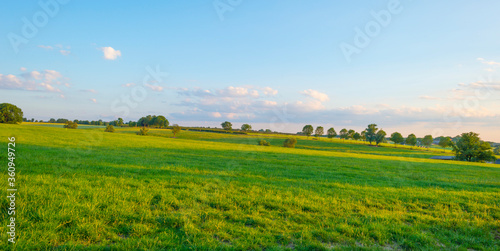 Grassy fields and trees with lush green foliage in green rolling hills below a blue sky in the light of sunset in summer