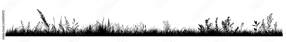Abstract background with black silhouettes of meadow wild herbs and flowers. Wildflowers. Floral background. Wild grass. Vector illustration.