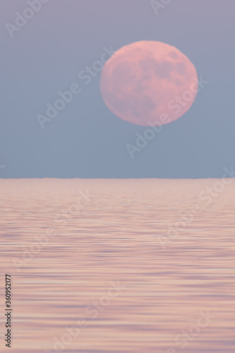 moonrise over the saloon sea photo