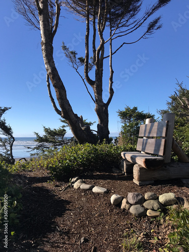 Empty driftwood bench overlooking windswept Pacific Ocean beach on blue sky day © Dawn