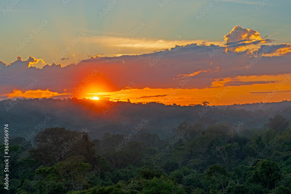 Sunrise over the Amazon Rainforest