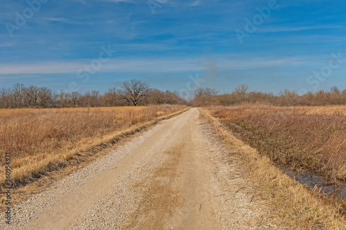 Rural Road Through a Prairie Wetland