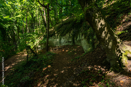 Fantastic hike near Sipplingen on Lake Constance