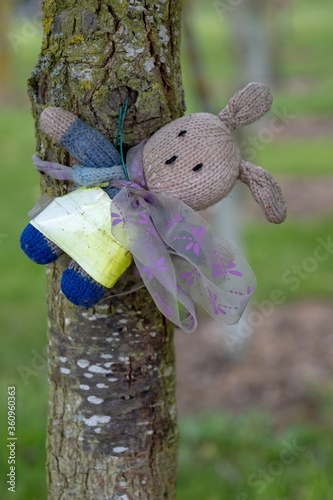 Selective focus shot of a stuffed animal hanging in a tree photo