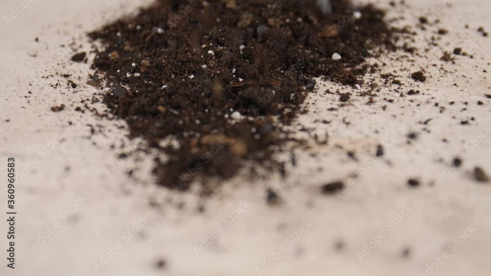 Pouring of rich soil on light background Pouring of rich soil on light background