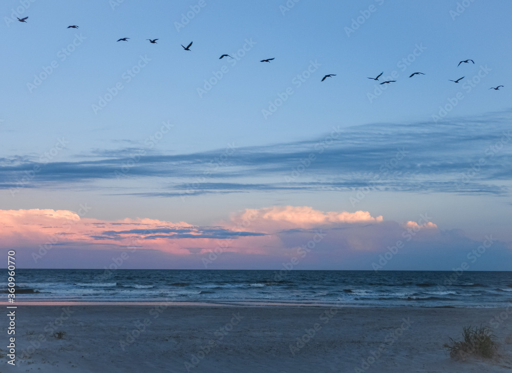 birds over a beach at sunset