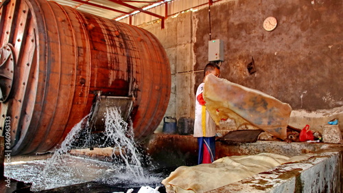 Fotografi the process of cutting raw skin before it is processed for the production of tan