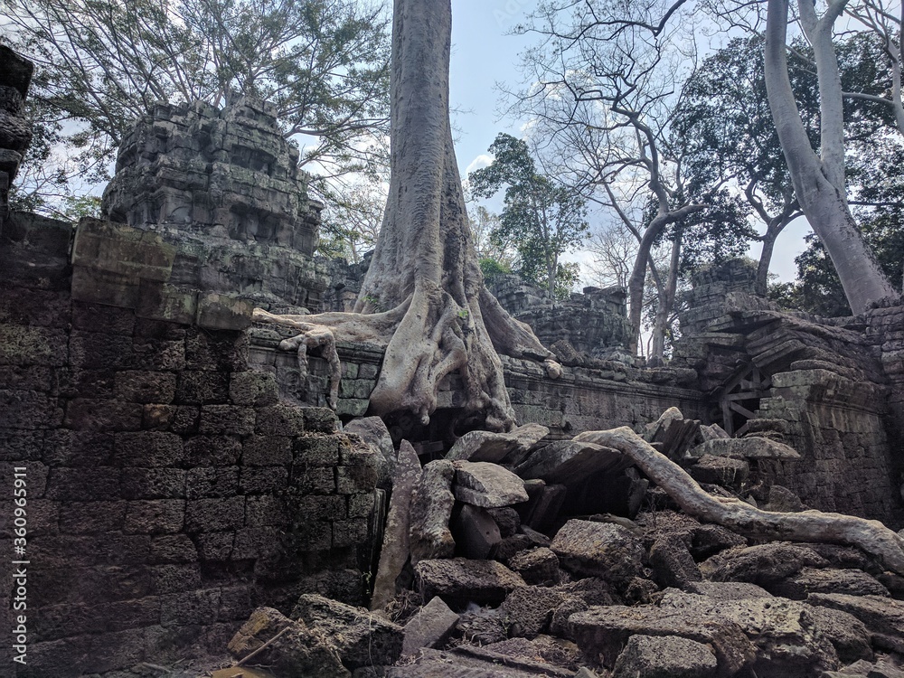 Angkor Temples in Cambodia - February 2017 Angkor Temples in Cambodia - February 2017