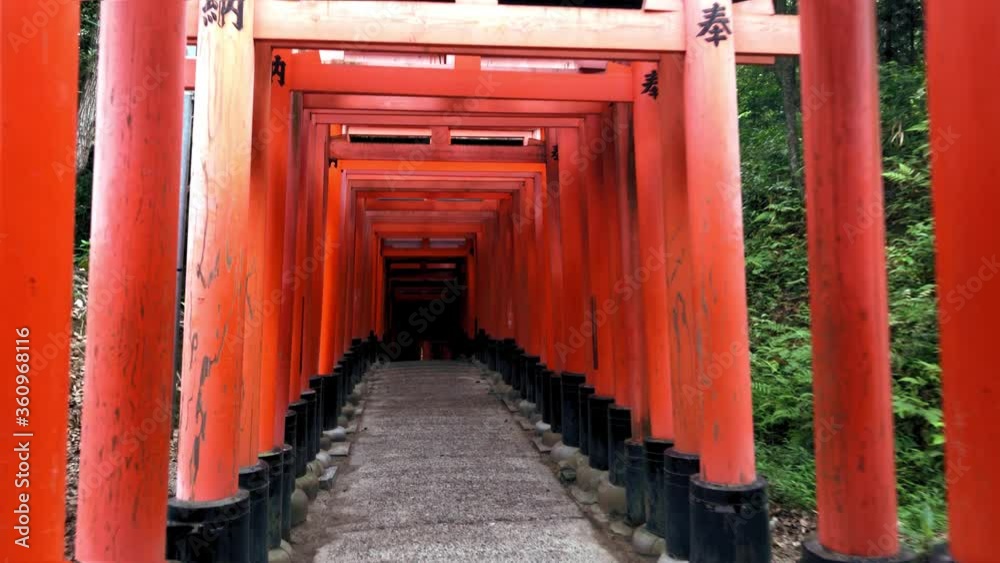 View Of Traditional Japanese Torii Gates at Fushimi Inari Taisha religios in Kyoto city, Japan. View Of Traditional Japanese Torii Gates at Fushimi Inari Taisha religios in Kyoto city, Japan.