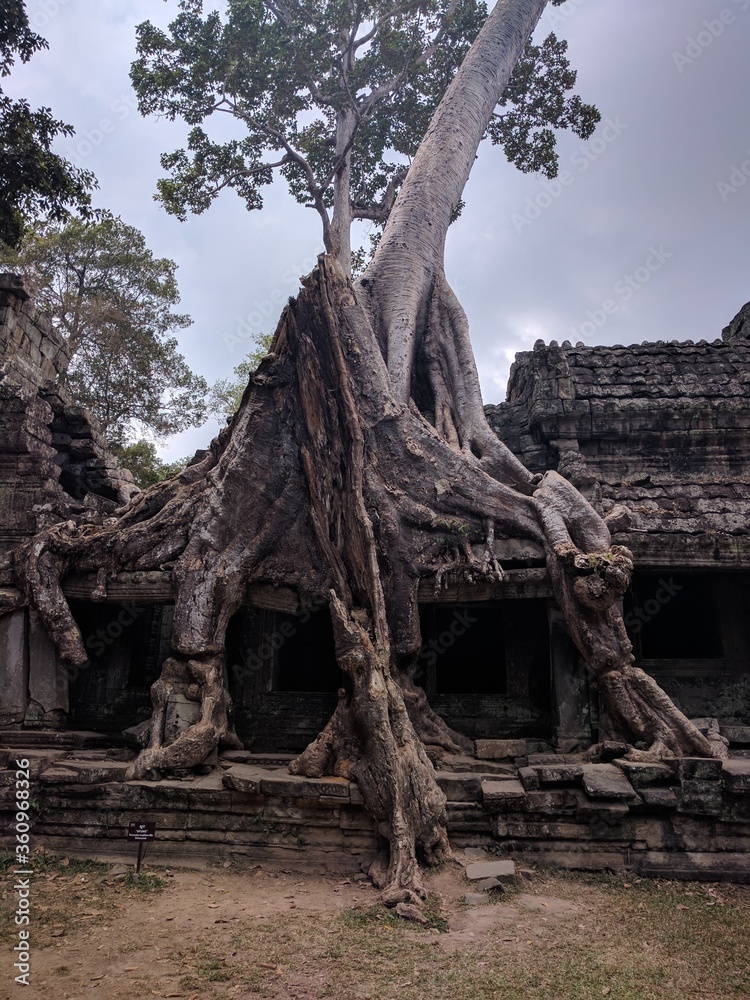 Angkor Temples in Cambodia - February 2017