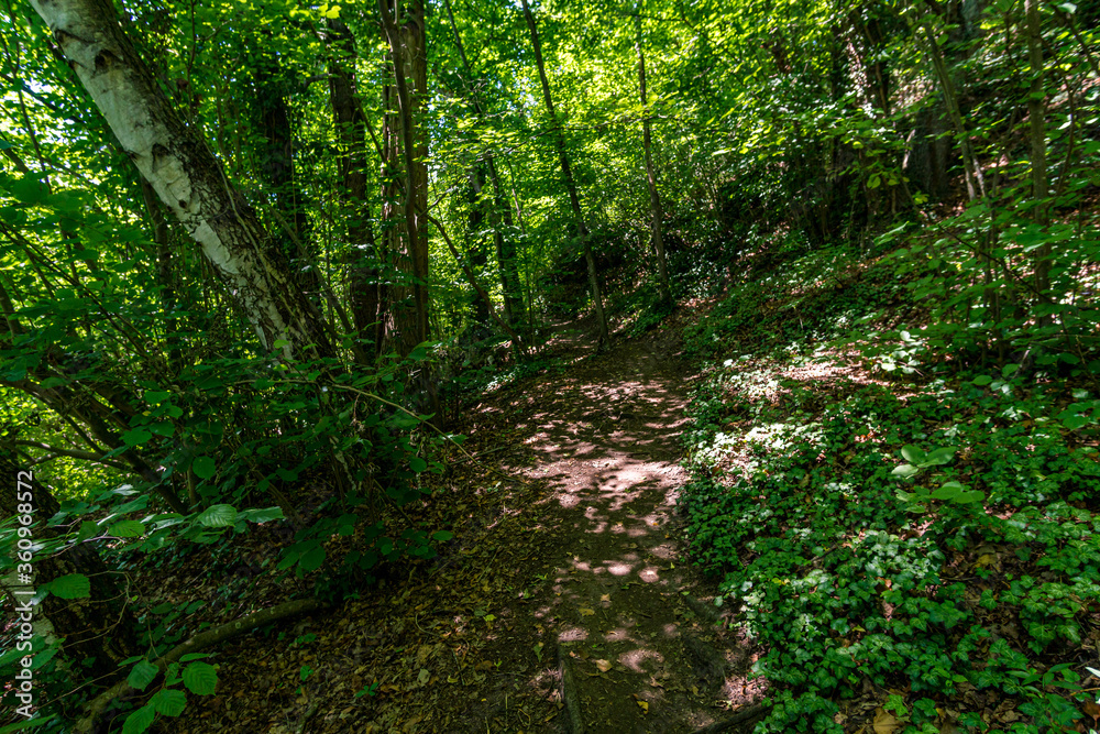 Obraz premium Fantastic hike near Sipplingen on Lake Constance