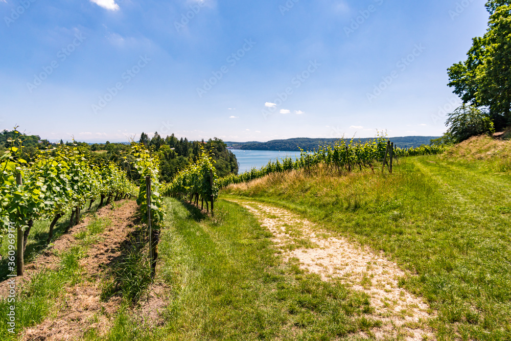 Fantastic hike near Sipplingen on Lake Constance