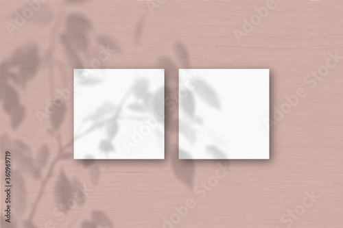 2 square sheets of white textured paper on the pink wall background. Mockup overlay with the plant shadows. Natural light casts shadows from an exotic plant.. Flat lay, top view
