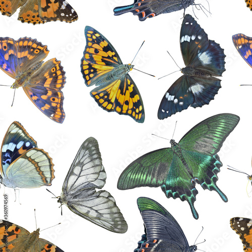 Butterflies. Seamless pattern. © Valeriy Kirsanov
