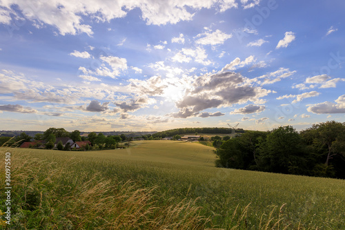 A forest on the hill and fields in the valley in the German town Velbert