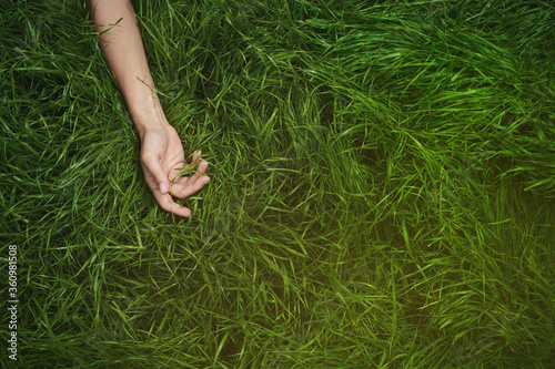female hands lie in different positions on the green grass. the concept of the unification of nature and man, natural cosmetics and natural beauty © evgeniy