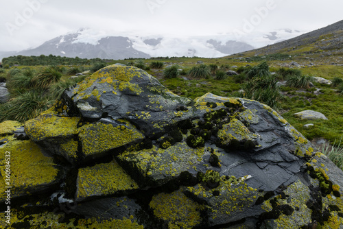 King Haakon Bay photo