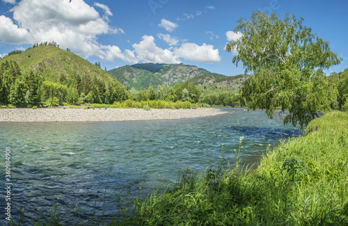 View of a mountain river. Summer greens, daylight.