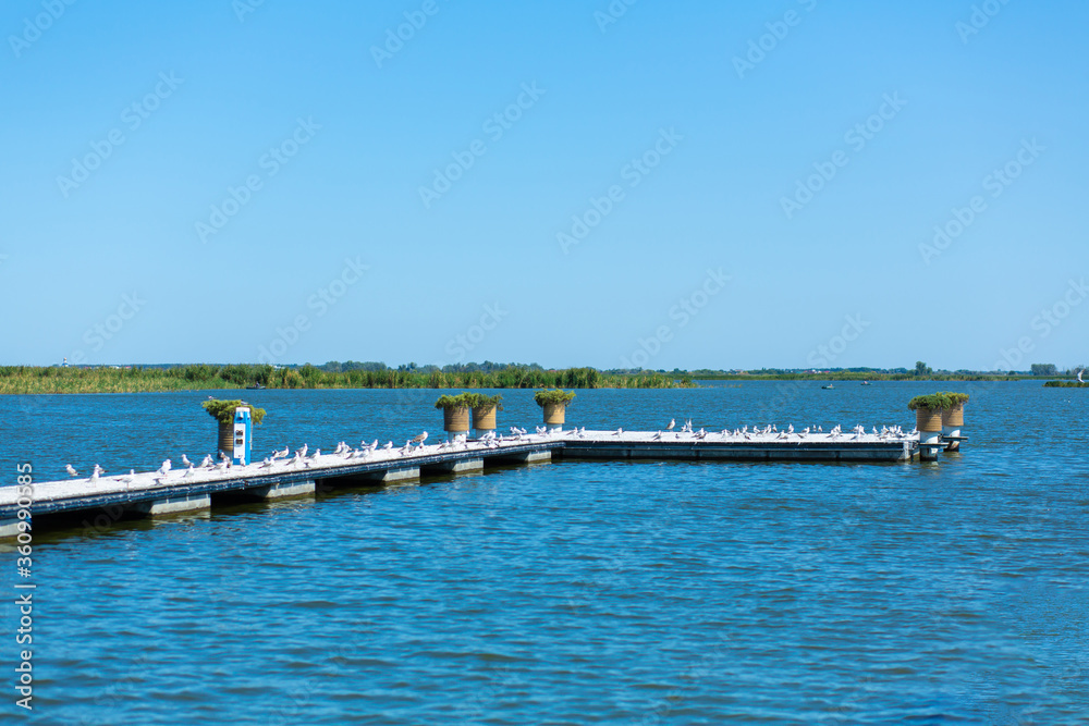 Pier on the river bank. A large flock of seagulls. Summer day.