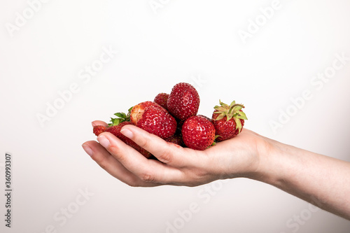 Red strawberries in hand on white background. Summer delicacy