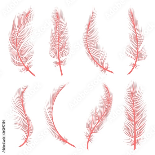 Decorative pink feathers