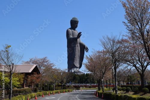 牛久大仏 ／ 茨城県牛久市にある牛久大仏（うしくだいぶつ）は、ブロンズ（青銅）製大仏立像で全高120mあり、立像の高さでは世界で4番目、ブロンズ立像としては世界最大でギネスブックに登録されています。 photo