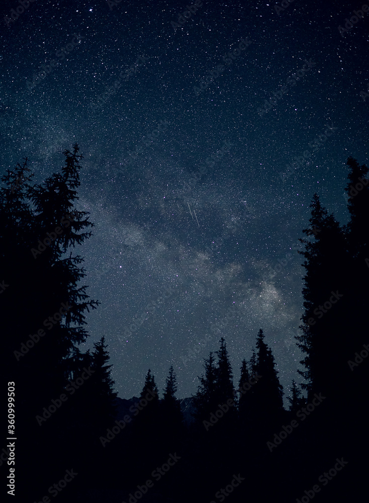 Silhouette of spruce at night sky with Milky Way Silhouette of spruce at night sky with Milky Way