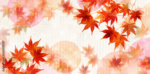 紅葉　もみじ　秋　背景