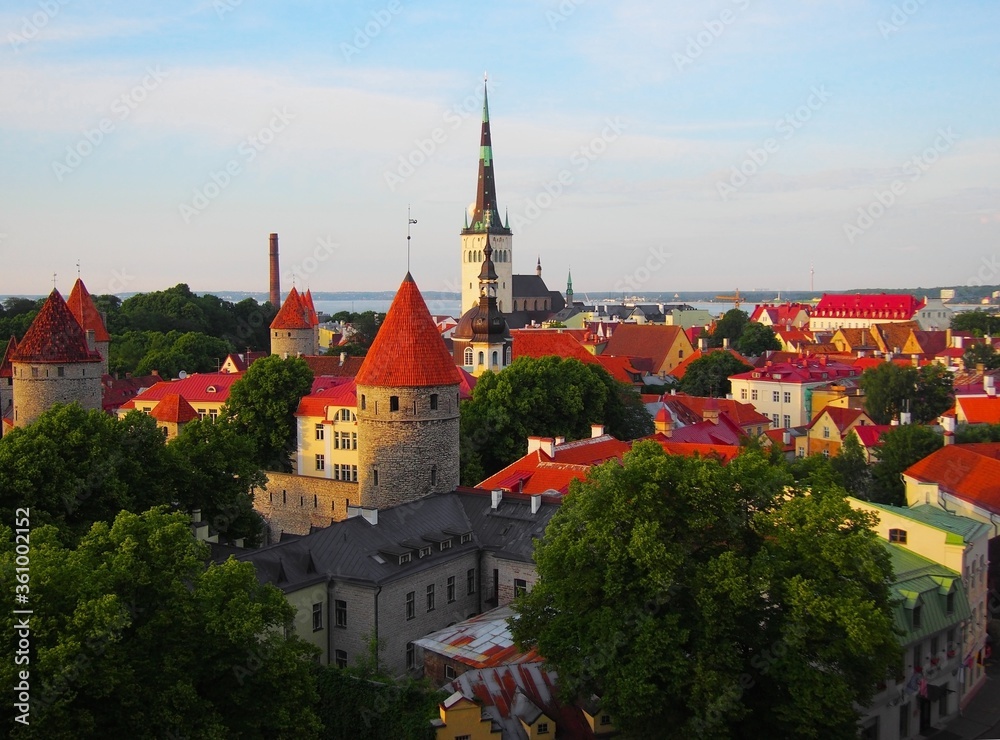 Picture for postcard or drawing on a magnet, print on fabric. Panorama of the medieval center of Tallinn, Estonia. The spire of the tower and the red tiled roofs of the old city.