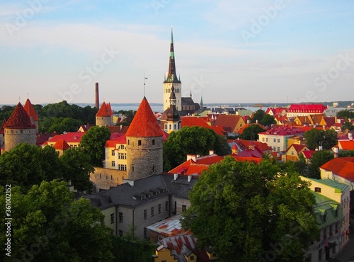 Picture for postcard or drawing on a magnet, print on fabric. Panorama of the medieval center of Tallinn, Estonia. The spire of the tower and the red tiled roofs of the old city.