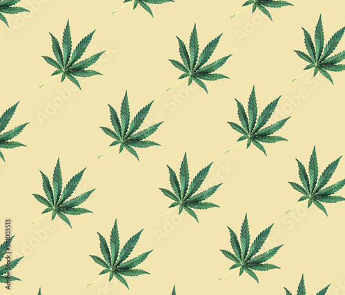 Pattern of green cannabis leaves on a beige background. Medical marijuana  top view